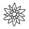 Edelweiss einfarbig