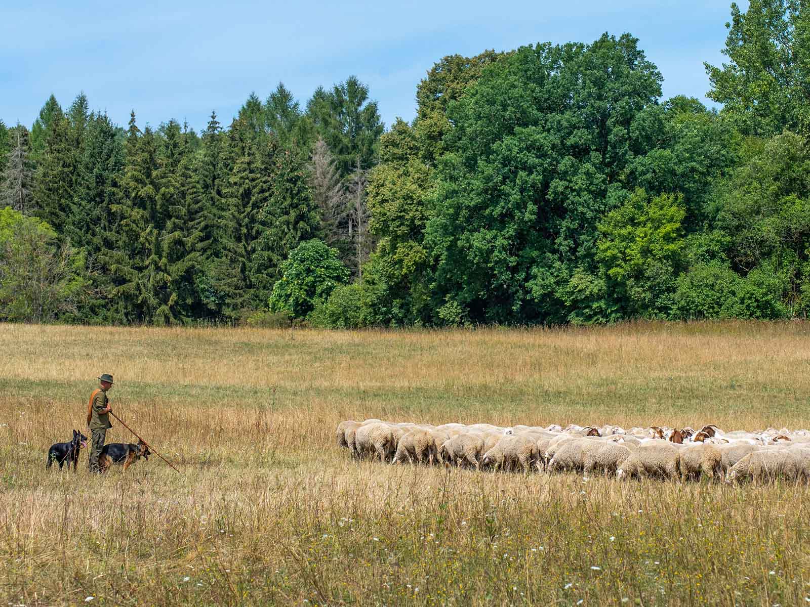 Vorschaubild: BEAG-Agrar GmbH Behringen