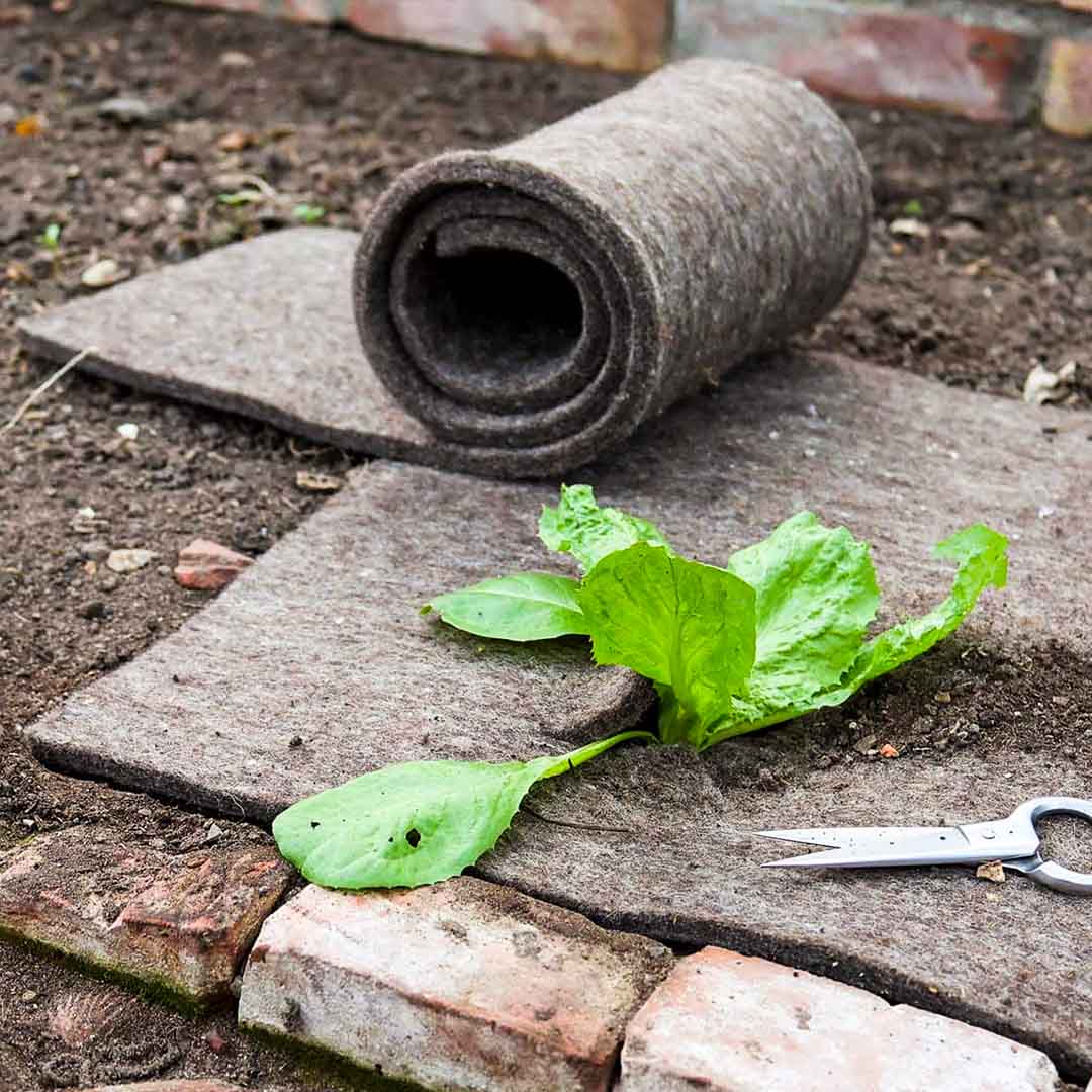 Mulchvlies aus Wolle