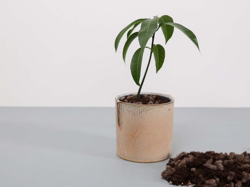 Duenger-aus-Wolle-Wollpellets-natuerlich