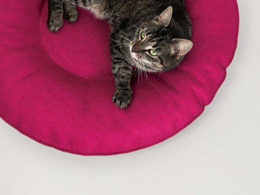 Katzenkorb-aus-Filz-rund-Wunschmass
