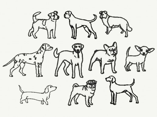Uebersicht-Hunde